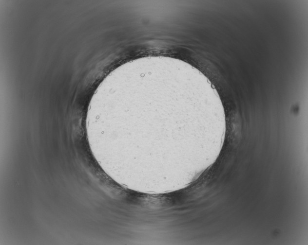 X0000115620615200912221229