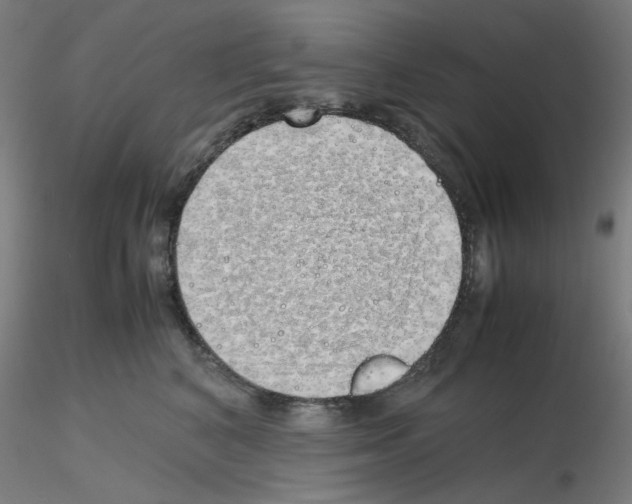 X0000115620616200912221229