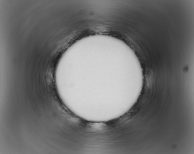 X0000115620618200912221229