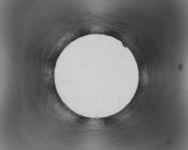 X0000115620619200912221229