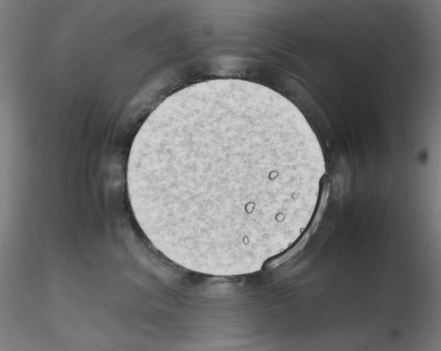 X0000115620620200912221229