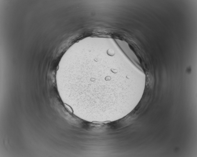 X0000115620621200912221229