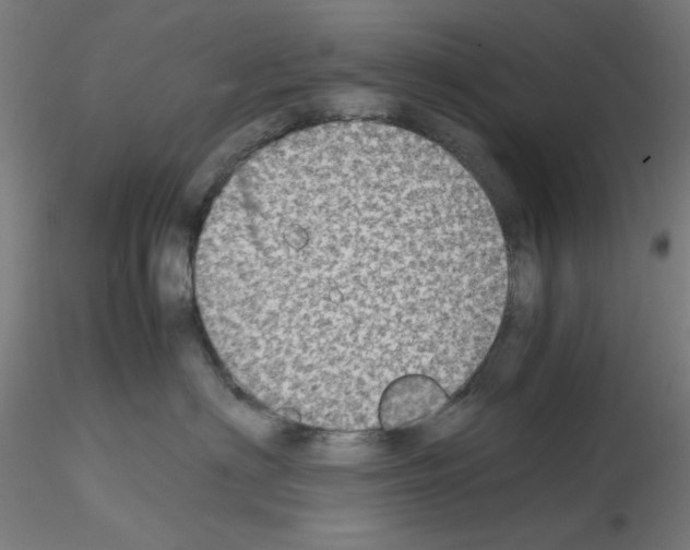 X0000115620622200912221229