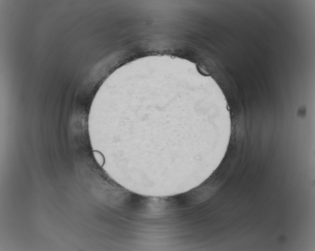 X0000115620623200912221229