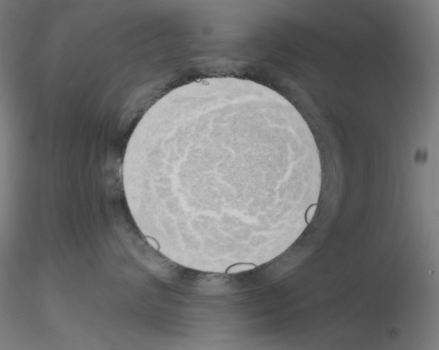 X0000115620624200912221229