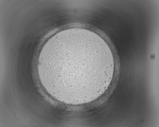 X0000115620625200912221229