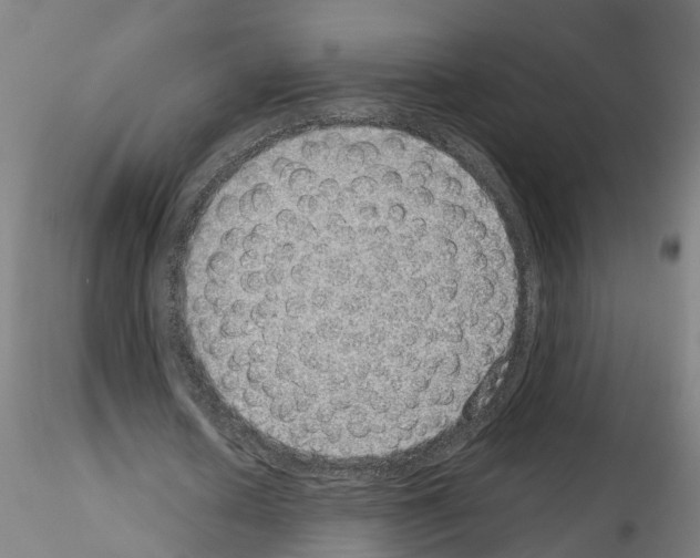 X0000115620626200912221229