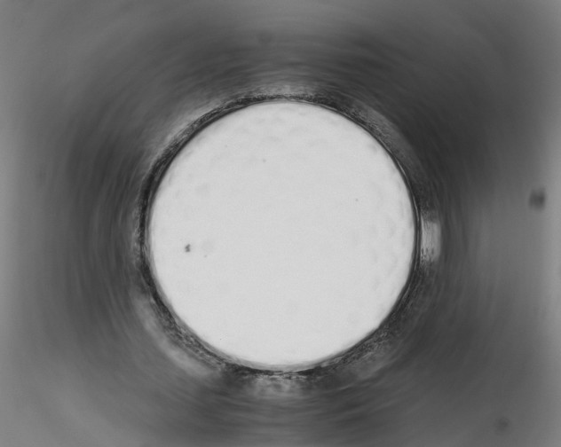 X0000115620627200912221229