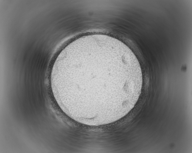X0000115620628200912221229