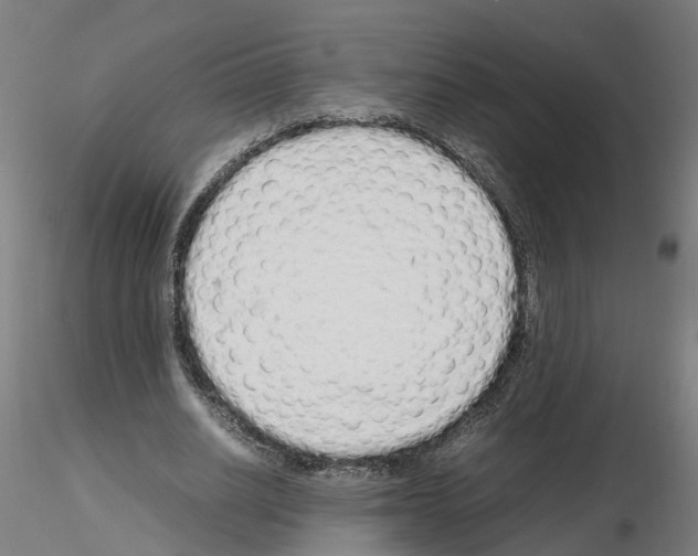 X0000115620630200912221229