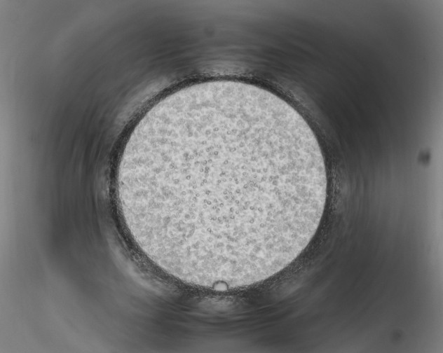 X0000115620631200912221229