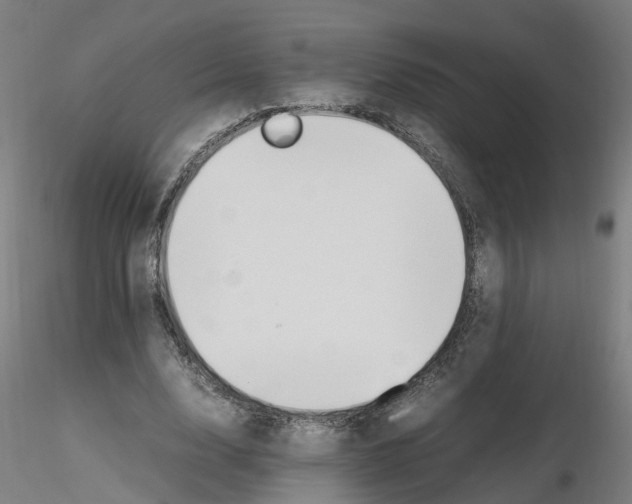 X0000115620632200912221229