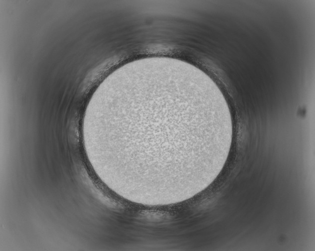 X0000115620633200912221229