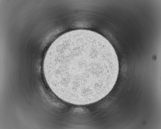 X0000115620635200912221229
