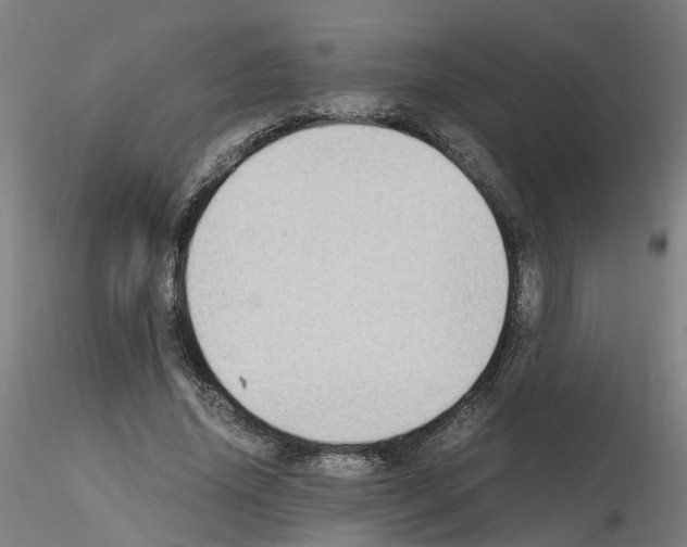 X0000115620636200912221229