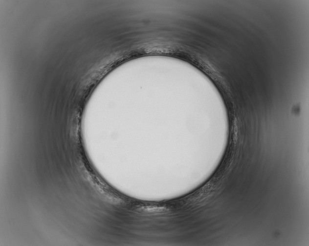 X0000115620637200912221229