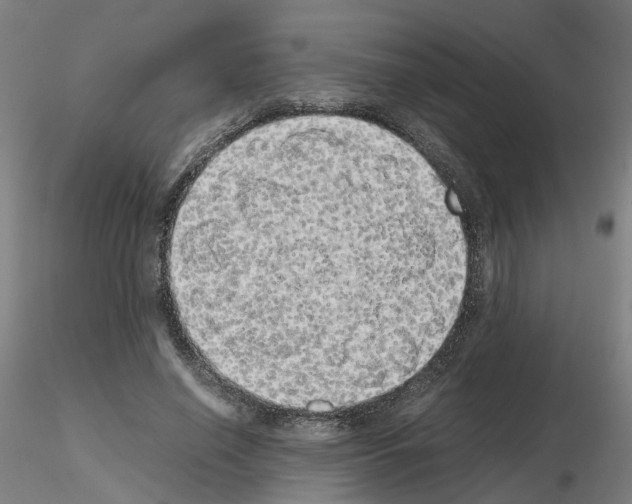 X0000115620638200912221229