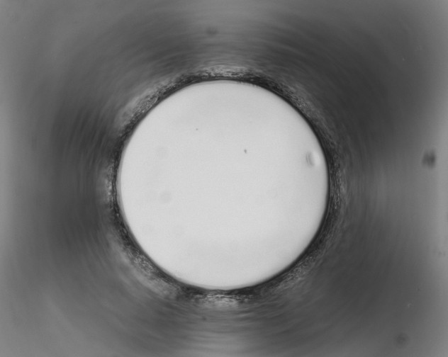 X0000115620640200912221229