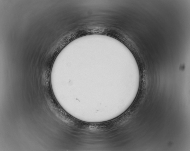 X0000115620641200912221229