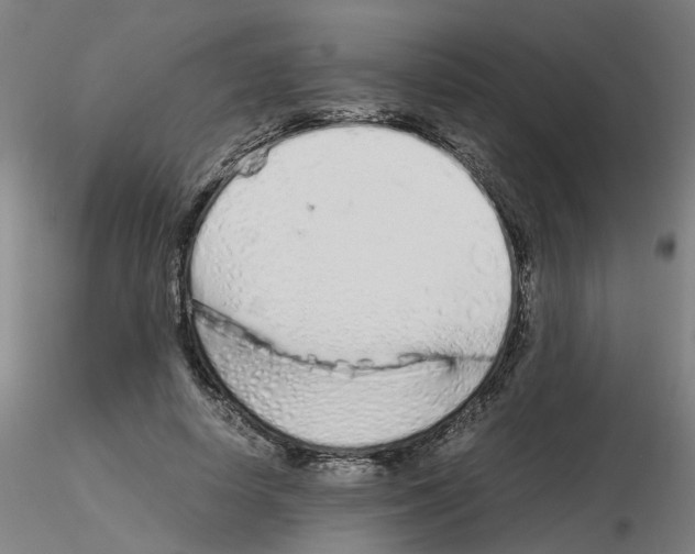X0000115620642200912221229