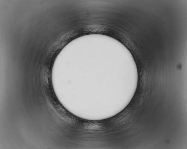 X0000115620643200912221229