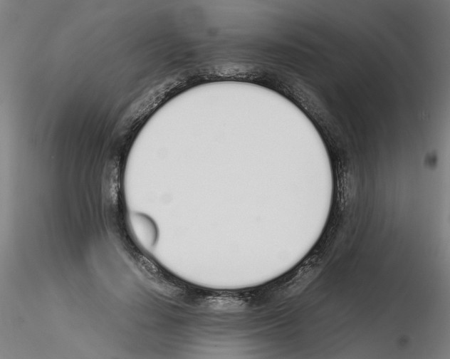 X0000115620644200912221229