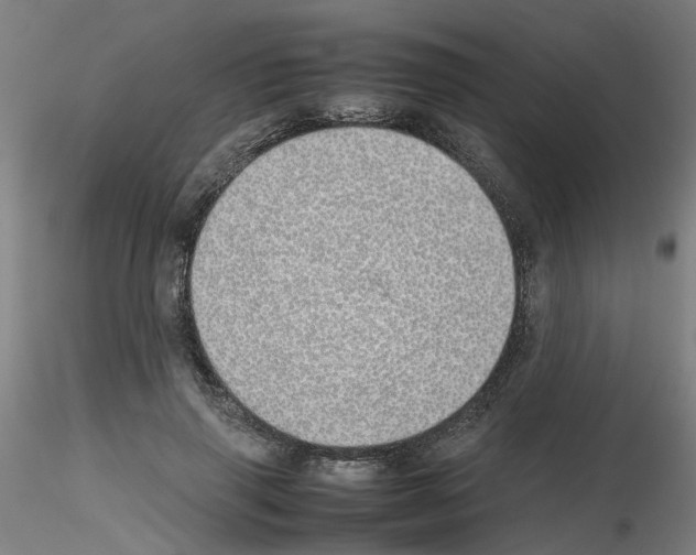 X0000115620645200912221229