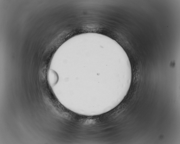 X0000115620647200912221229