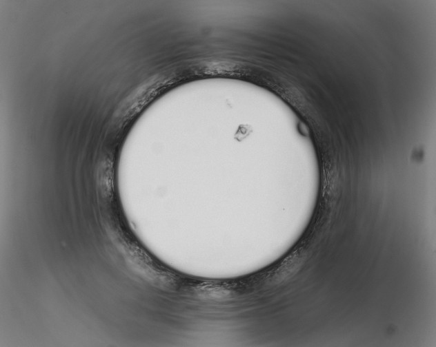 X0000115620648200912221229