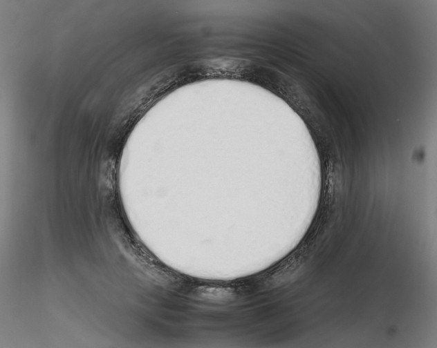 X0000115620649200912221229