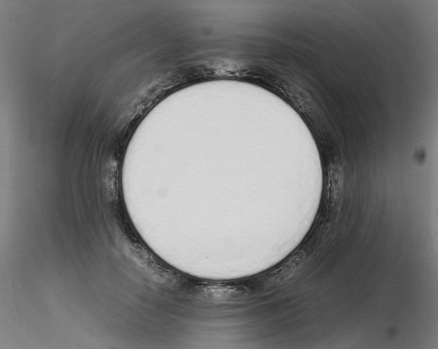 X0000115620650200912221229