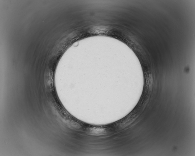 X0000115620651200912221229