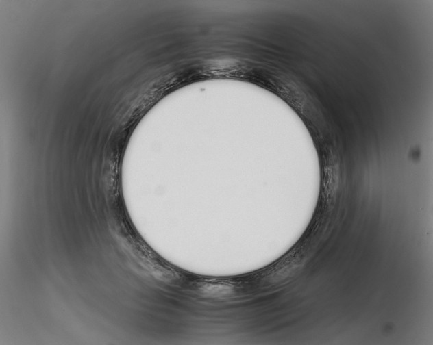X0000115620653200912221229
