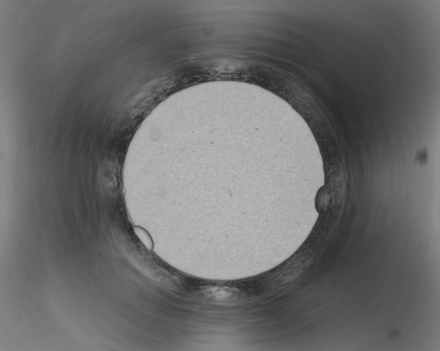 X0000115620654200912221229