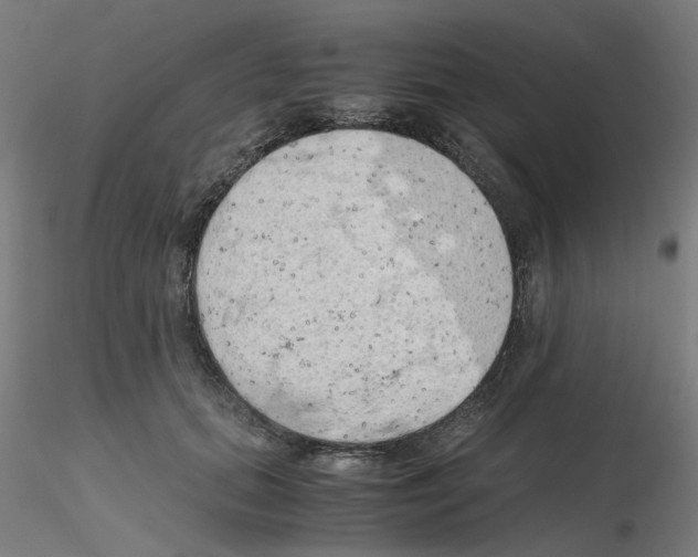 X0000115620655200912221229