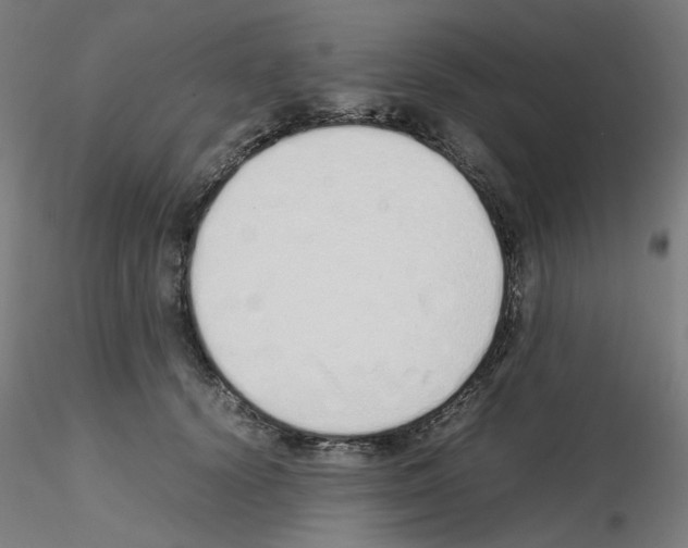 X0000115620656200912221229