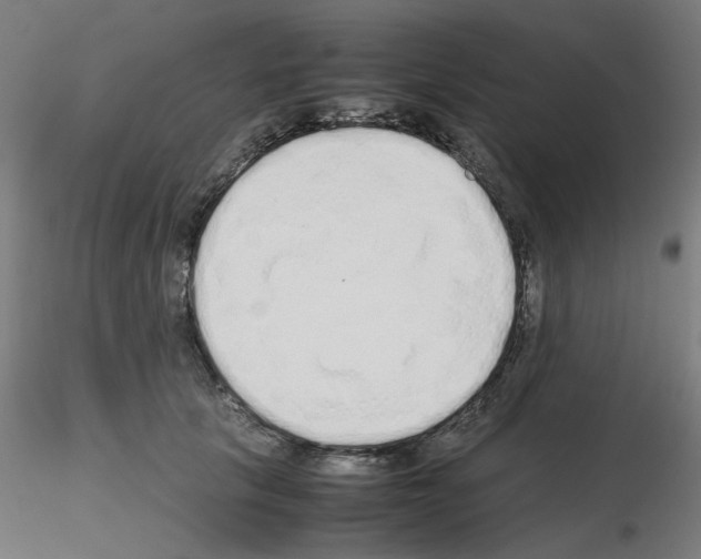 X0000115620657200912221229