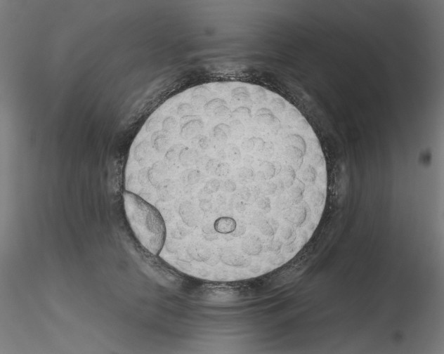 X0000115620658200912221229