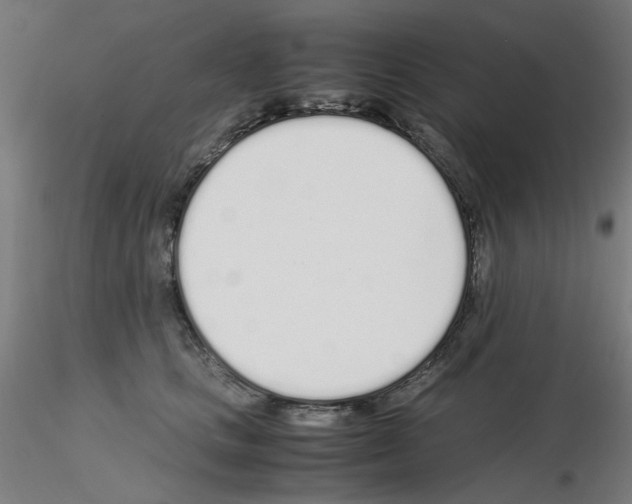 X0000115620661200912221229