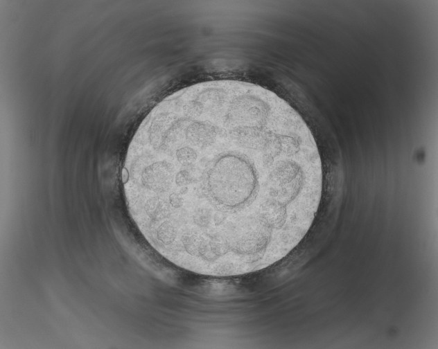 X0000115620662200912221229