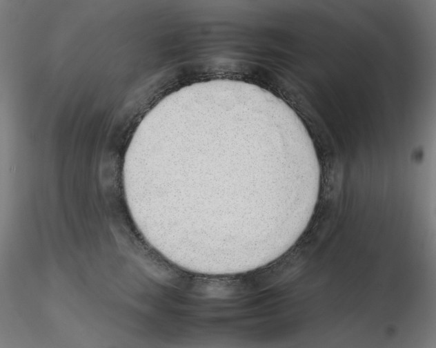 X0000115620663200912221229