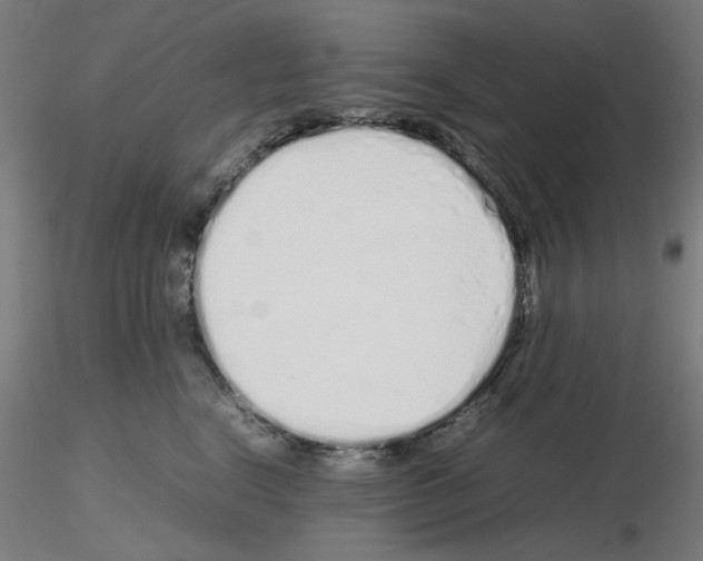 X0000115620664200912221229