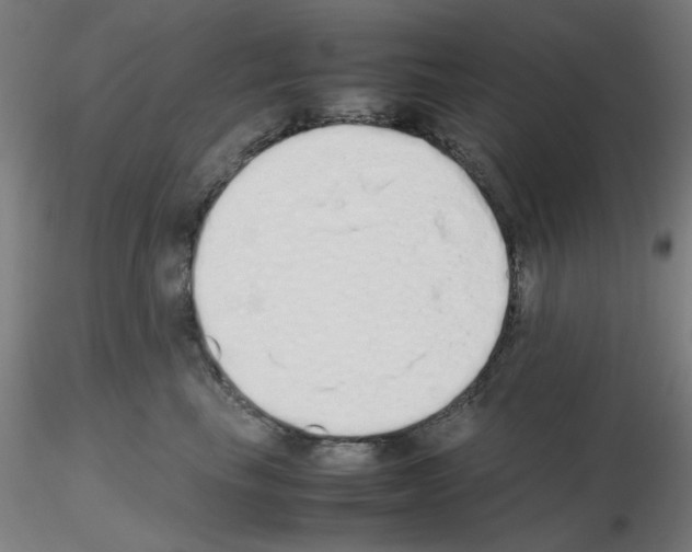 X0000115620665200912221229