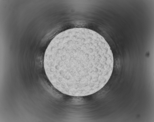 X0000115620666200912221229