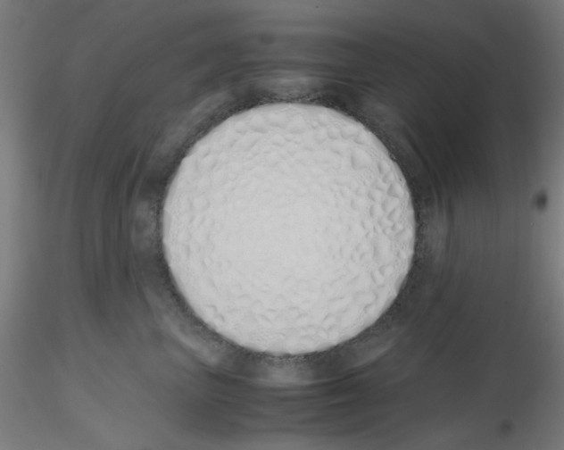 X0000115620667200912221229
