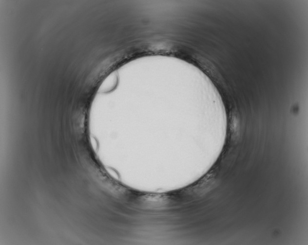 X0000115620668200912221229