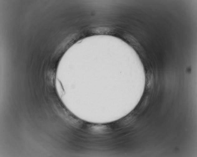 X0000115620669200912221229
