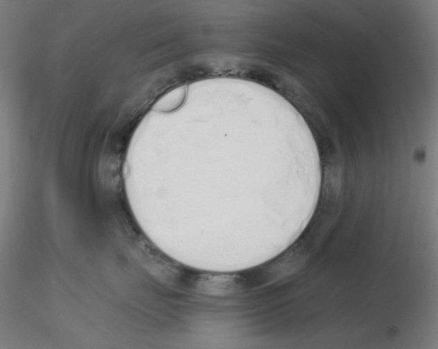 X0000115620671200912221229