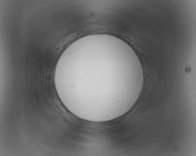 X0000115620672200912221229