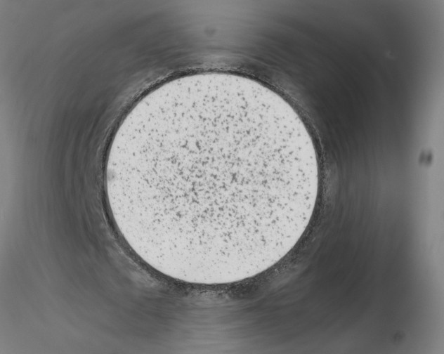 X0000115620673200912221229